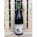 Belgian Beer Barn - Cantillon Rosé de Gambrinus 75cl
